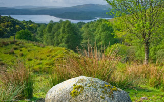 Large rock lush green field - a large rock free wallpaper