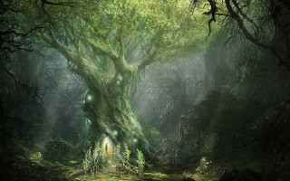 Tree forest light doorway painting - fantasy concept art free wallpaper