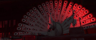 Large red white peacock tail - its tail free wallpaper