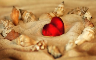 Heart shaped object sand shells - shaped free wallpaper