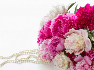 Bouquet flowers pearls white background - necklace free wallpaper