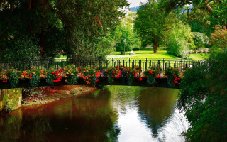 Bridge river flowers fence park - plein air free wallpaper