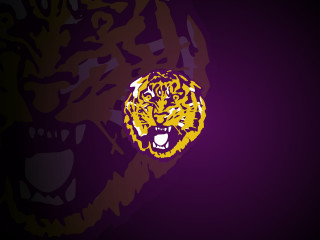 Tiger head purple background yellow - face and mouth free wallpaper