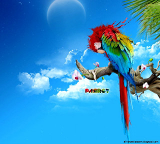 Colorful parrot perched branch tree - net art free wallpaper for tablet
