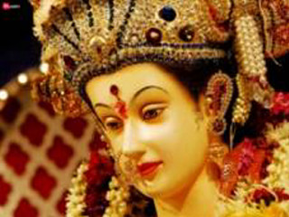 Woman costume flower hair smiling - a costume free wallpaper