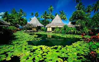 Pond lily pads huts palm - hut free wallpaper