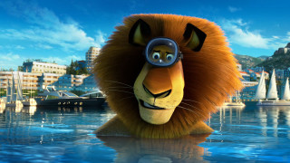 Lion glasses cartoon boats city 2 - a lion free wallpaper for desktop