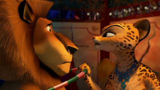 Cartoon animal lion talking room - a lion free wallpaper for desktop