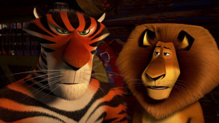 Close up animals room bookshelves - furaffinity free wallpaper