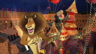 Cartoon lion circus tent balloons - balloon free wallpaper for desktop