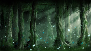 Forest butterflies light trees painting - the tree free wallpaper