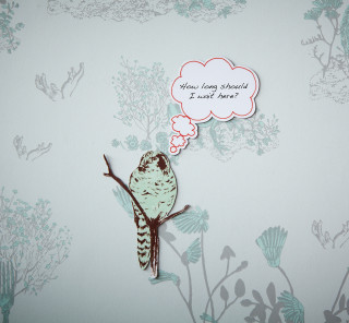 Bird branch thought bubble wait - a branch free wallpaper for tablet