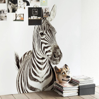 Zebra dog table wall pictures - free dogs wallpaper for tablet