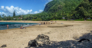 Beach people mountain trees water - tree and a body of water free wallpaper