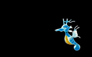 Blue yellow seahorse black background - a white stripe free wallpaper for desktop