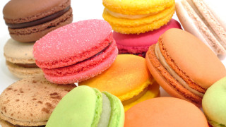 Macaroons colorful white background food - camille bombois free wallpaper