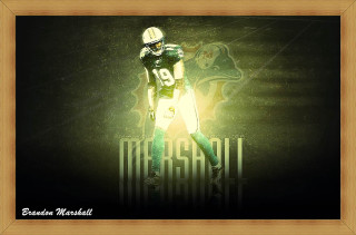 Football player green uniform gold - a gold frame free wallpaper for desktop