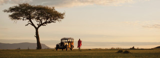 Safari vehicle parked field tree - free valentines wallpaper for desktop