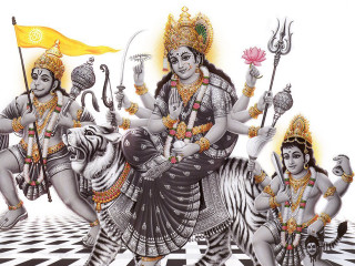 People riding zebra flag background - a zebra free wallpaper