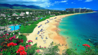 Beach crowd flowers building background - bascove free wallpaper