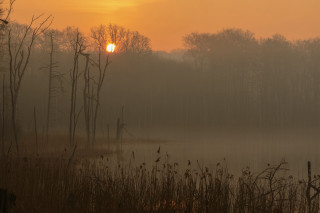 Foggy lake trees sunset mountains - godray free wallpaper
