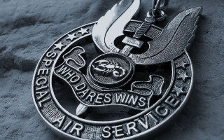 Silver medal bird gray surface - a gray surface free wallpaper