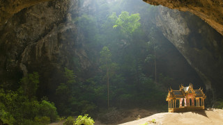 Shrine cave light forest background - godray free wallpaper