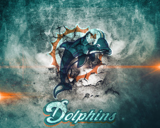 Dolphins splash paint face image - a splash of paint free wallpaper