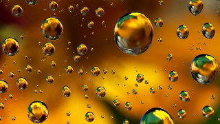 Bubbles window yellow flower green - a window pane free wallpaper