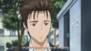 Man suit tie building tree - a suit free wallpaper