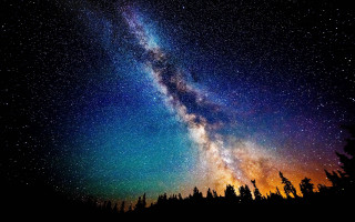 Night sky starry tree line 2 - a night sky free wallpaper for desktop