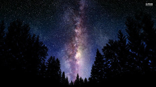 Night sky stars trees foreground - a bright light in the middle free wallpaper