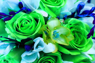 Bouquet green blue flowers green - a bouquet of flowers free wallpaper