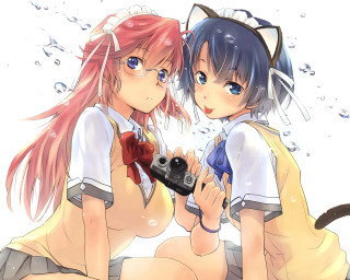 Anime girls pose camera cat - their hand and a cat free wallpaper