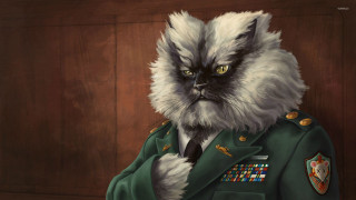 Cat military uniform yellow eyes - a green tie free wallpaper