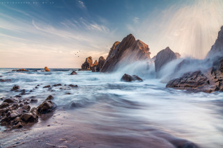 Rocky beach waves crashing bird - sunrise time free wallpaper
