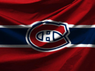 Detroit hockey jersey puck torii - chest free wallpaper