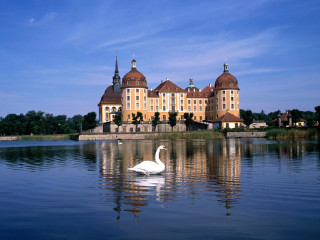 Swan swimming lake large building - tower free wallpaper