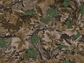 Camouflage background leaves branches brown 2 - a camouflage background free wallpaper