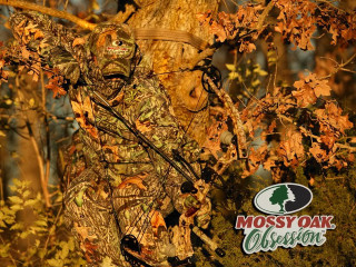Mossy oak advertisement tree background 2 - colin moss free wallpaper