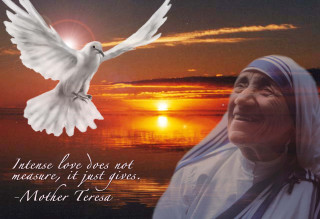 Woman dove sunset quote mother - bapu free wallpaper