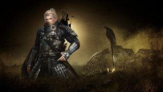 Man armor field bird shoulder - his shoulder and a bird free wallpaper