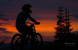 Man riding bike sunset tree - cloud behind free wallpaper