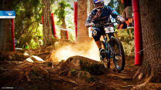 Man bike dirtroad forest flags - brian dunlop free wallpaper
