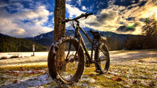 Bicycle parked tree snow mountains - a bicycle free wallpaper