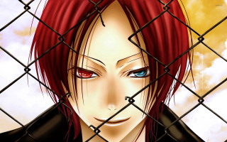 Red haired girl blue eyes - a chain link fence free wallpaper