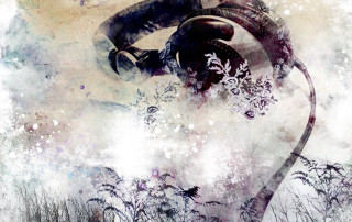 Man hat cane bird shoulder - his hand and a bird free wallpaper