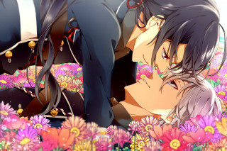 Couple kissing flowers together holding - the other free wallpaper