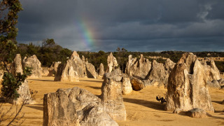 Rainbow desert landscape rocks trees - rock and trees free wallpaper