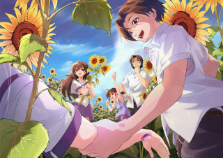 Sunflower field group people man - a man holding free wallpaper